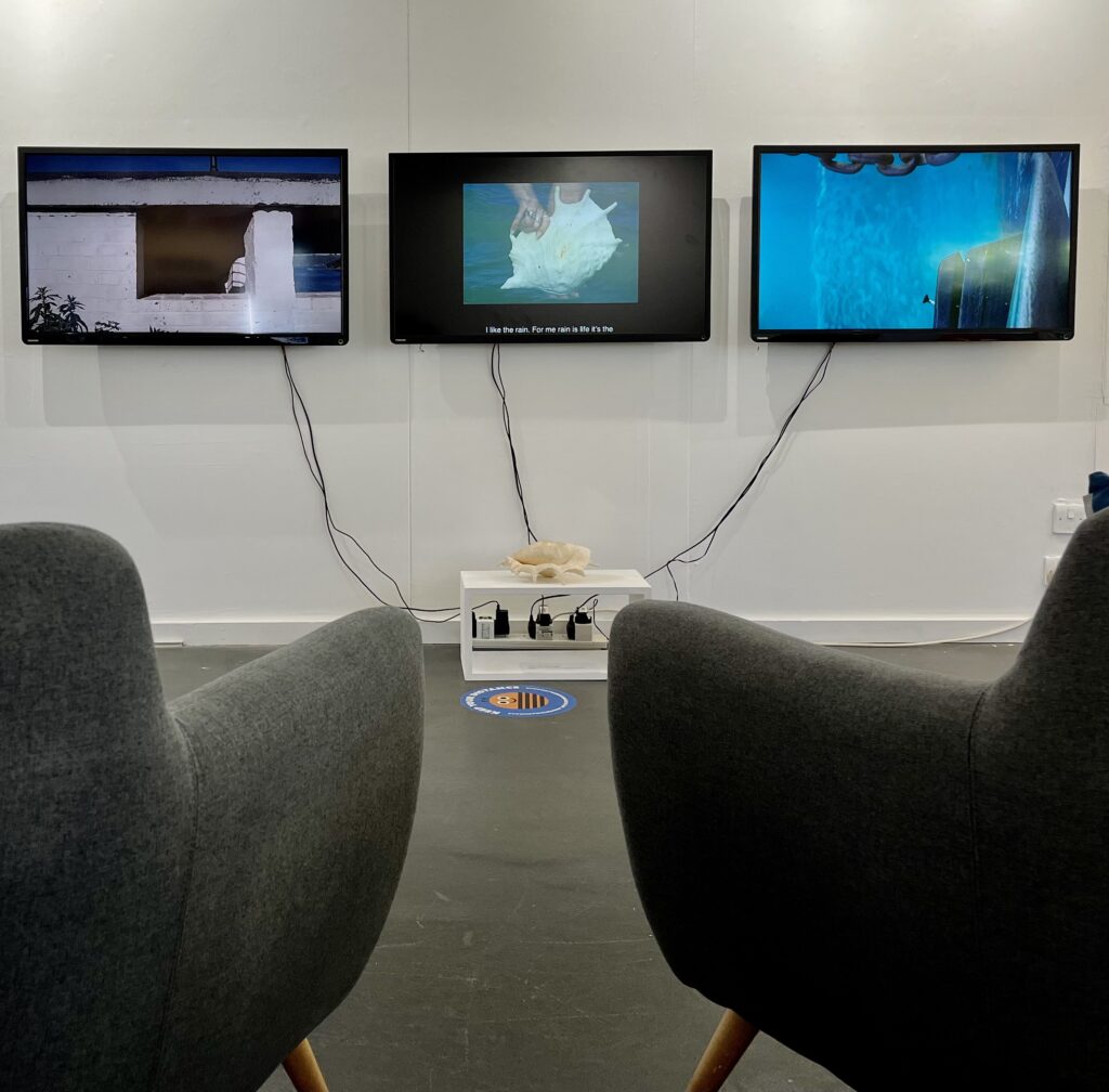 The installation photograph shows 3TV screens attached to a white wall. The first screen shows an old white painted shelter against a blue sky. The second is of a large white conch shell being held by a white woman's hands against a turquoise green sea background.  The third a turquoise sea with a rusty chain and boat parts above and to the right hand side.
Black wires dangled from the screens down to a box of electrical points. On top of the box is the  large white conch shell that appears to be connecting and communicating with the screens via the black wires.
In front of the installation are the arms of 2 grey sofa's seen from  behind.