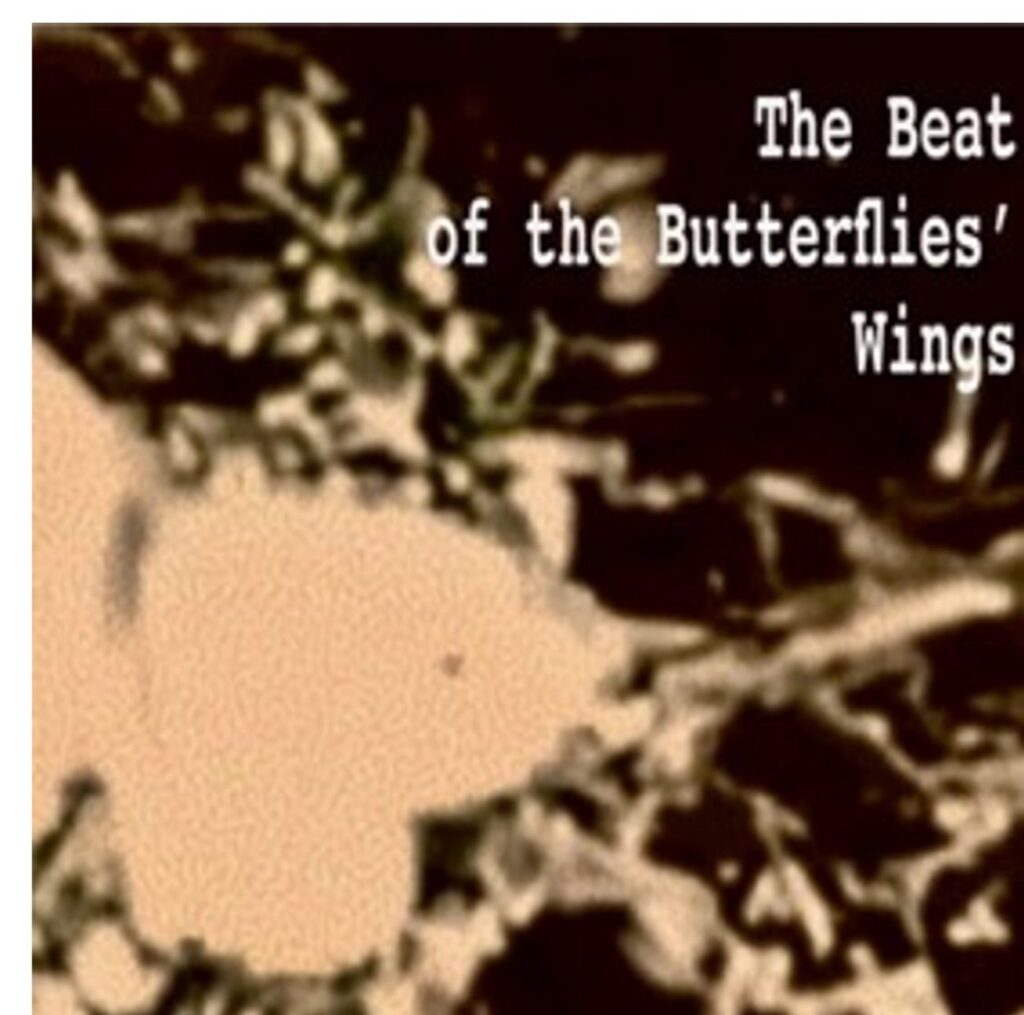 close up mono print of butterflies