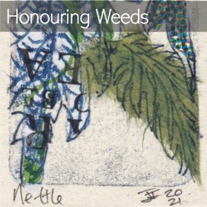 tetra pack print of nettle leaves