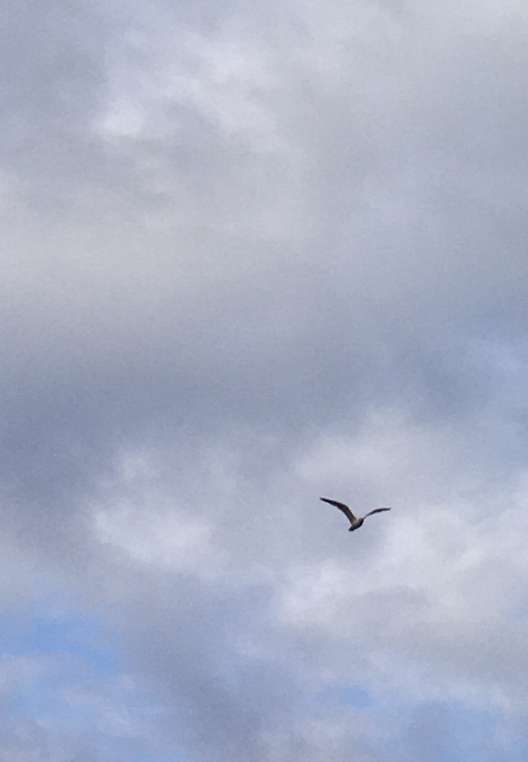 The Weather Report: Post 7