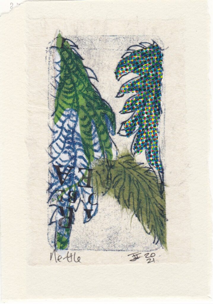 A monoprint collage of Nettles with furry Blue green a leaves and inverted newsprint letters R, E & A beneath the ribbed structure of the leaves