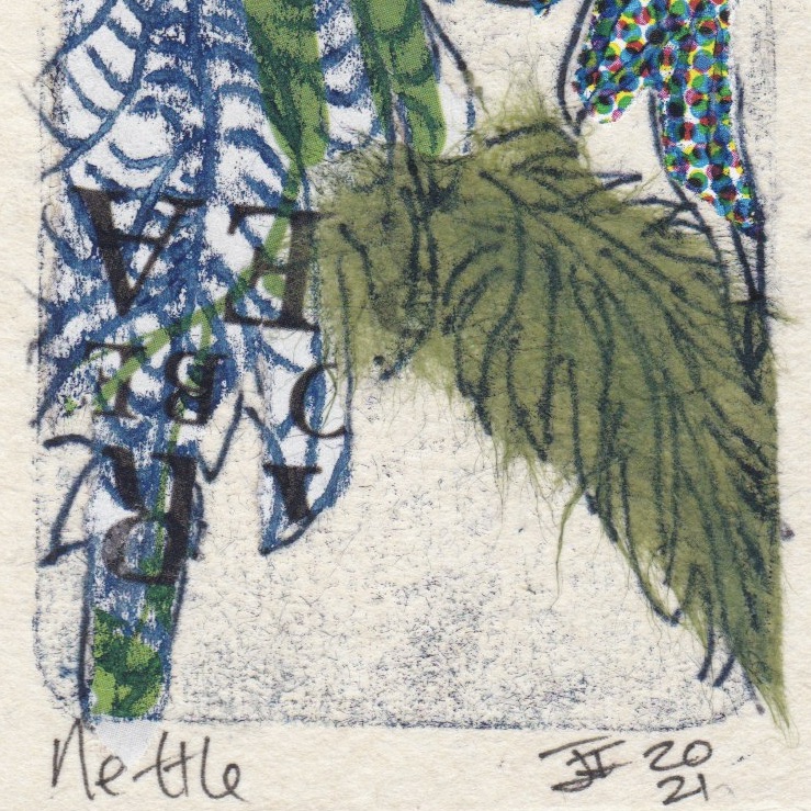print of nettle leaves in green and blue