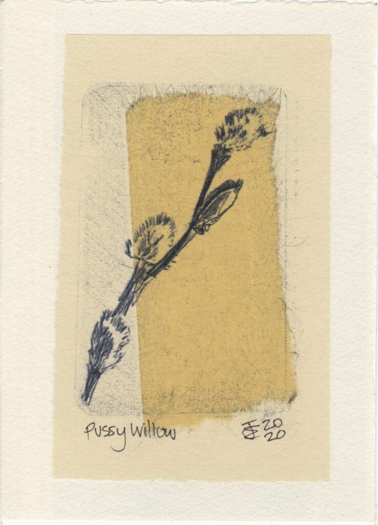 A monoprint collage of Pussy Willow with furry seed heads drawn in a charcoal, black ink on a yellow manila background.