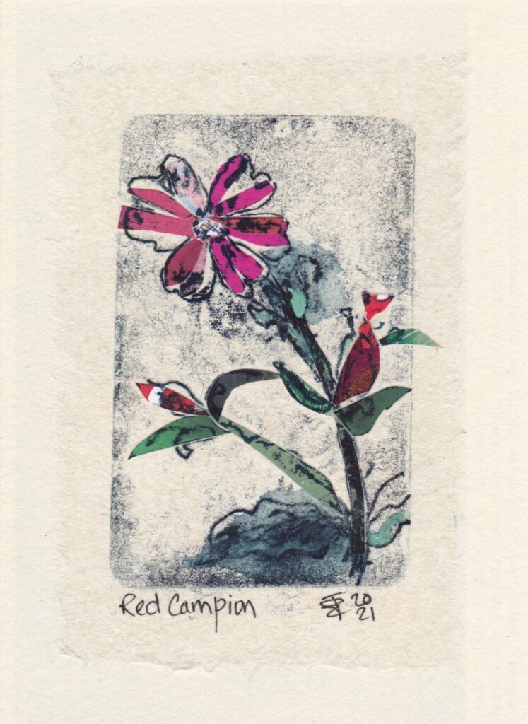 A monoprint collage of Red Campion with bright pink collaged flowers and blue green leaves on a blue black inky background.