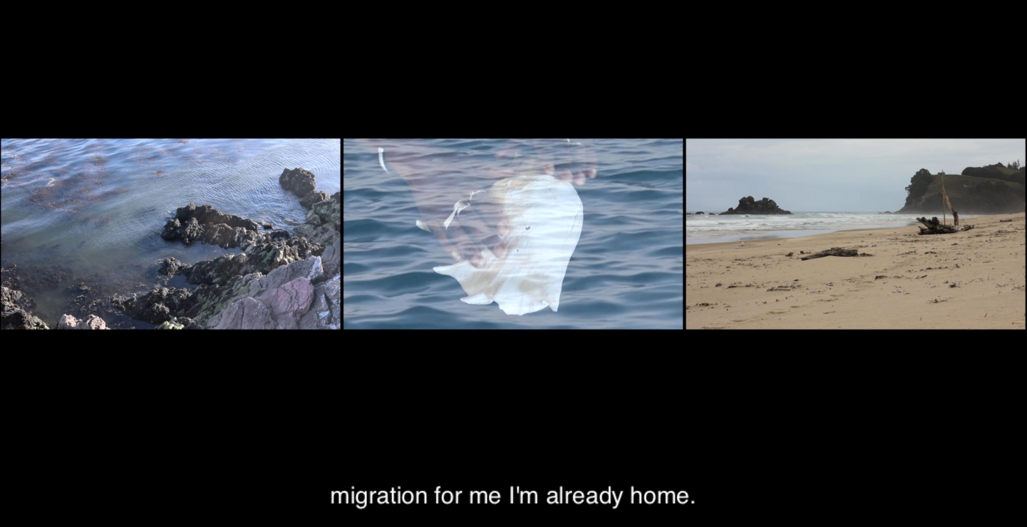 The Weather Report Selected for Axis Art Film Festival 2025